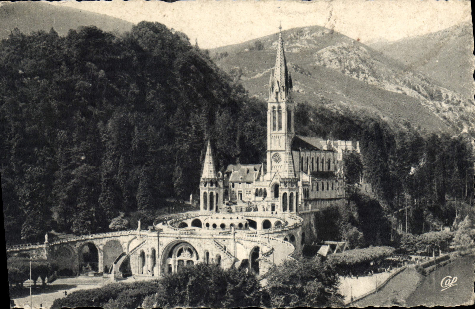 CPA Lourdes La Basilique 