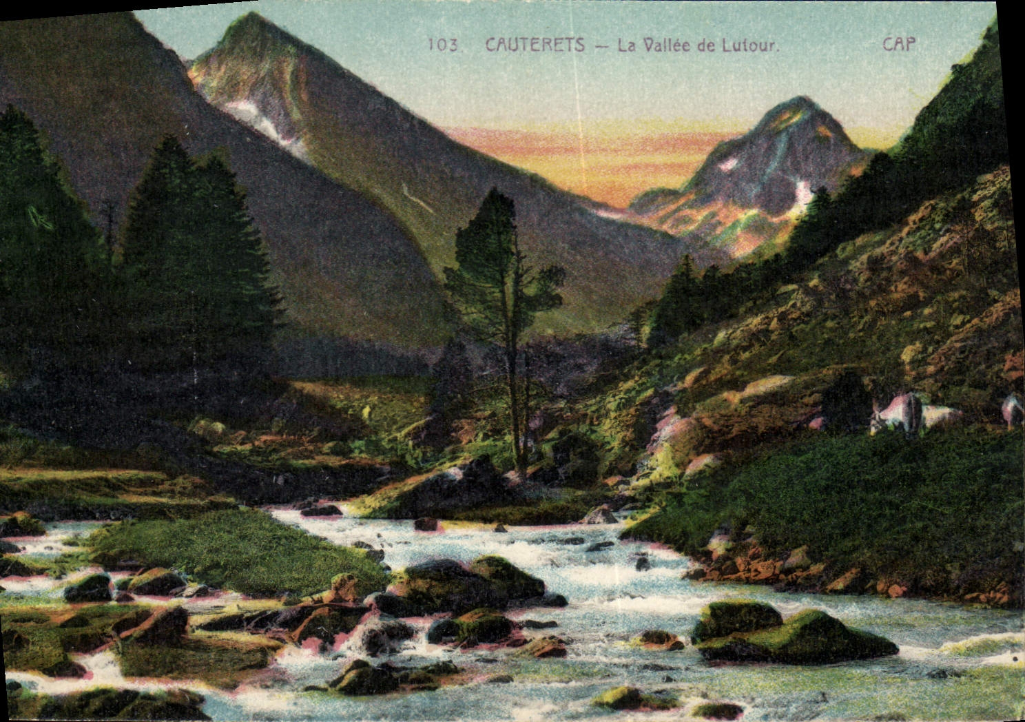 CPA Cauterets La Vallee de Lutour 