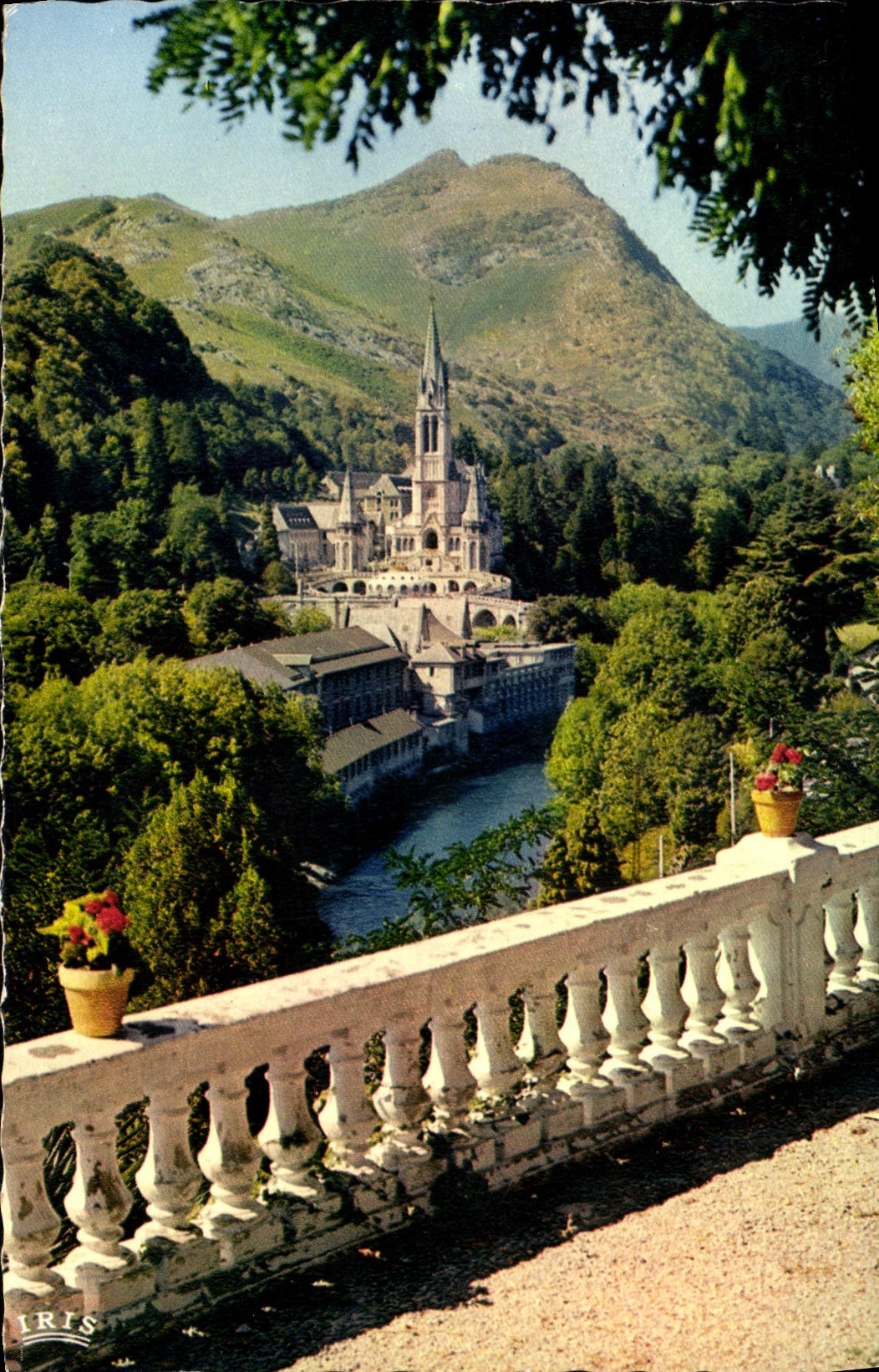 CPA Lourdes La Basilique et le Gave 