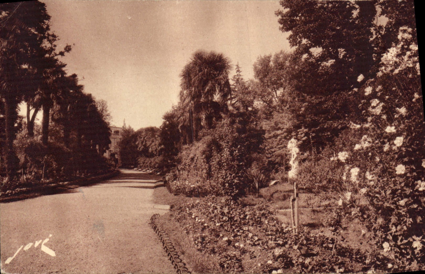 CPA Tarbes HP Les allees fleuries du Jardin Massey et statue de St Christophe a droite