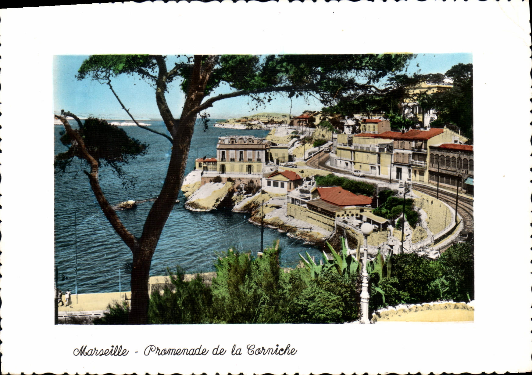 CPM Marseille Promenade de la Corniche