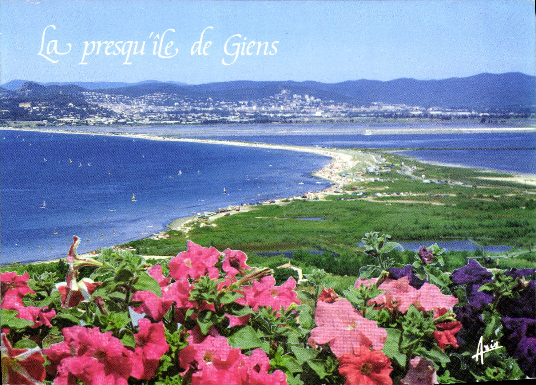 CPM La presqui ile de Giens 