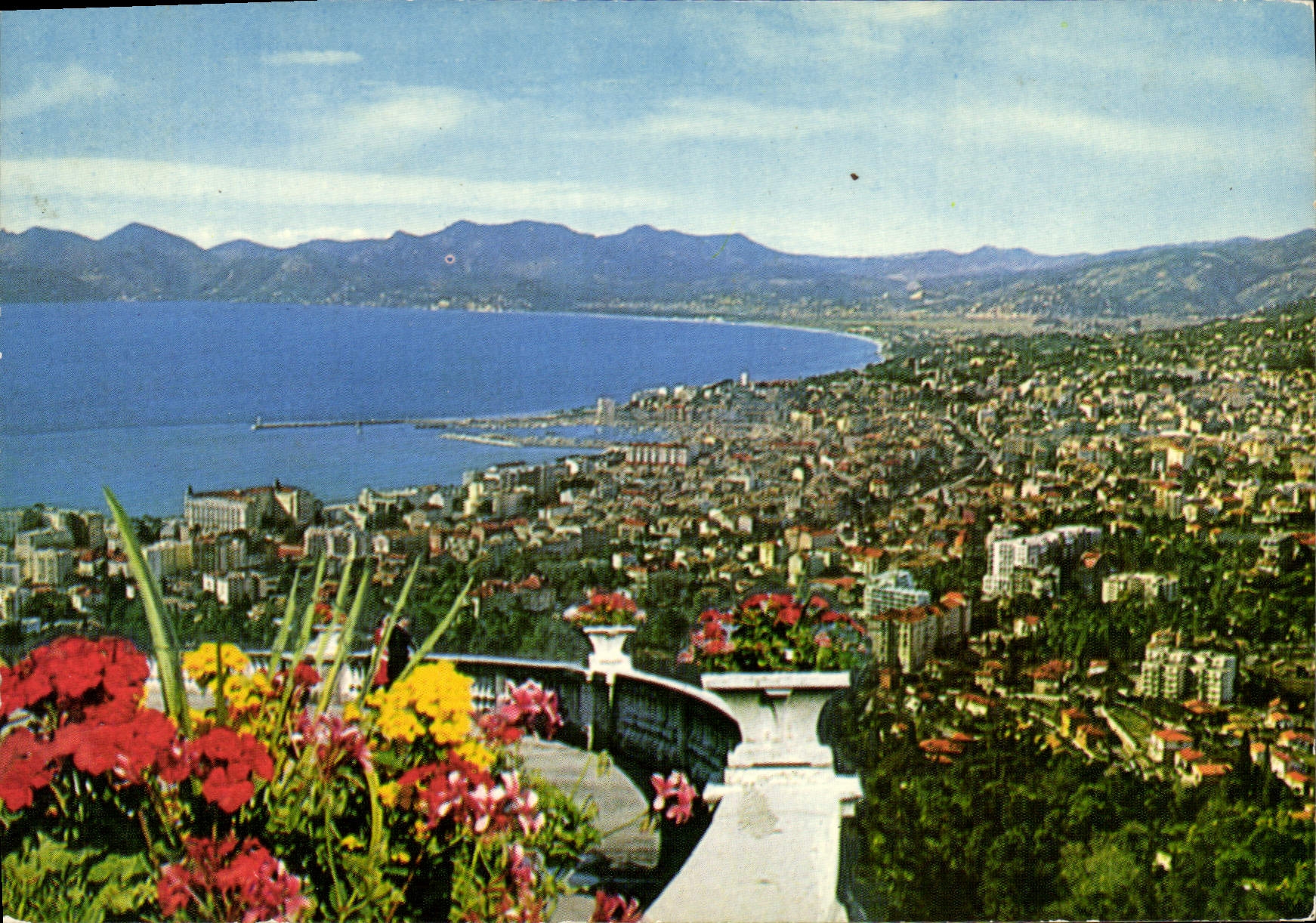 CPM Cannes Vue generale prise de la Californie