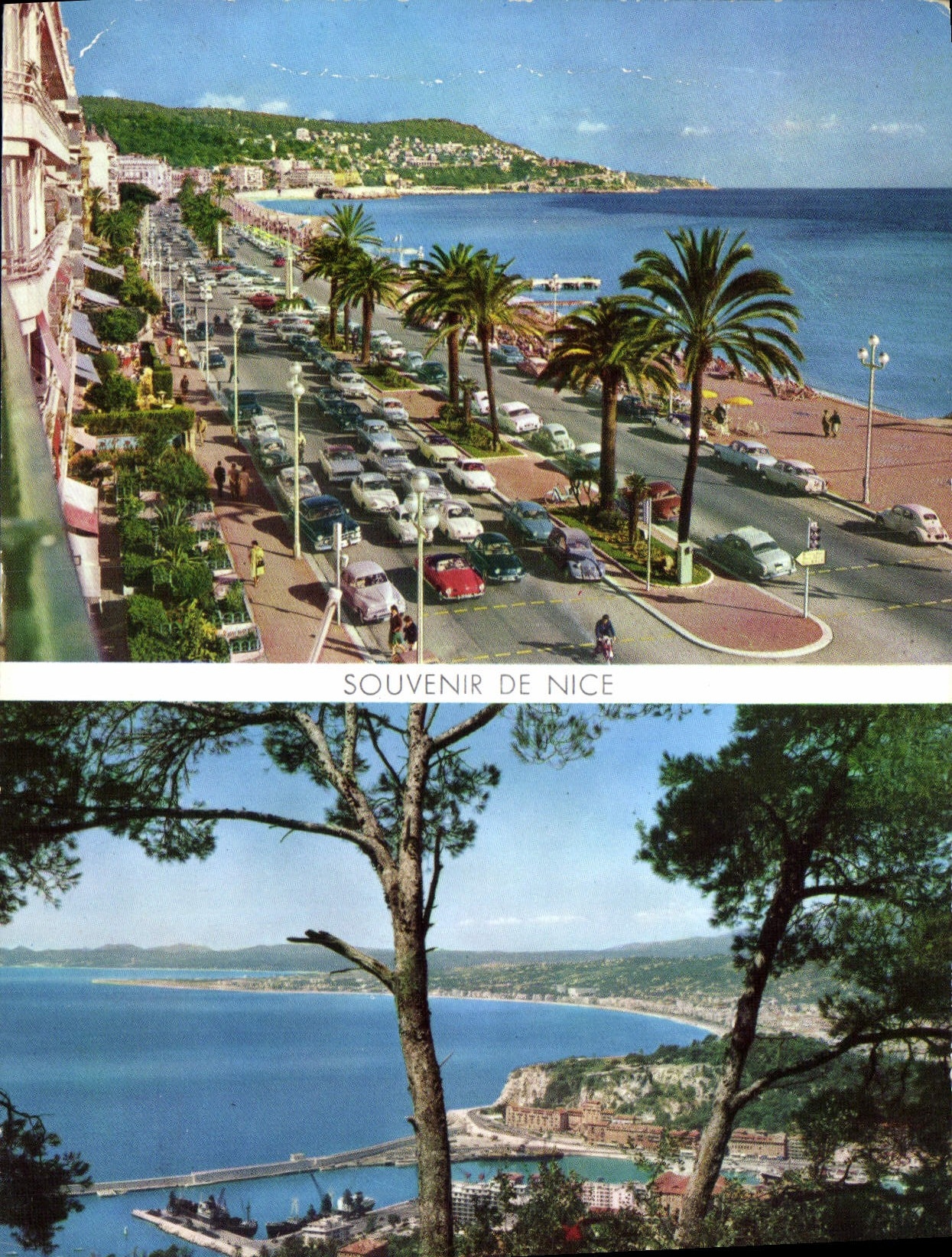 CPM Souvenir de Nice 