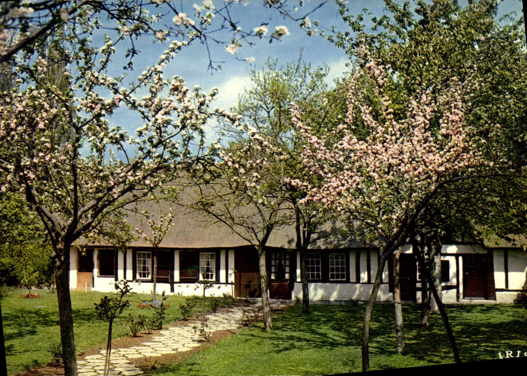 CPM La Luxuriante Normandie Chaumiere Normande et Pommiers en fleurs
