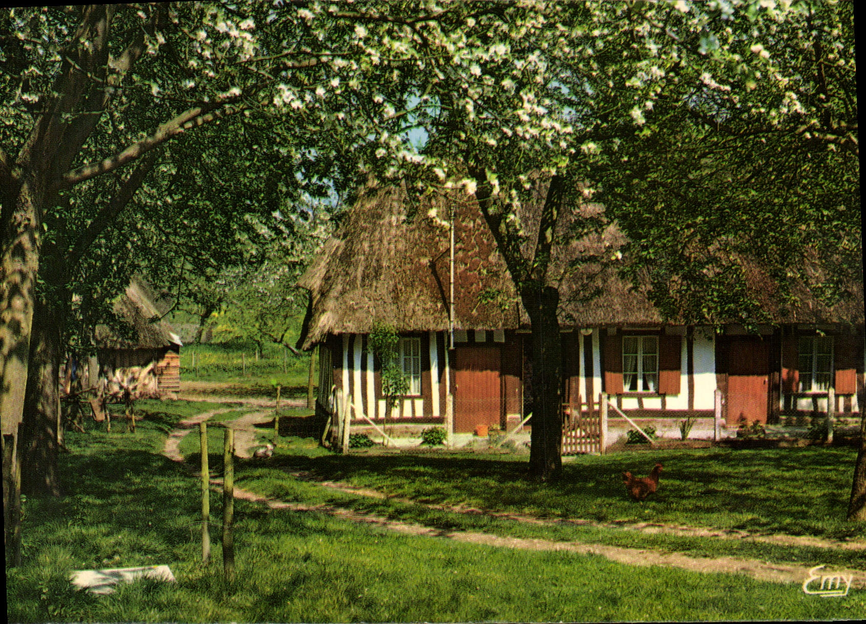 CPM La Normandie Pittoresque Chaumiere Normande au Printemps