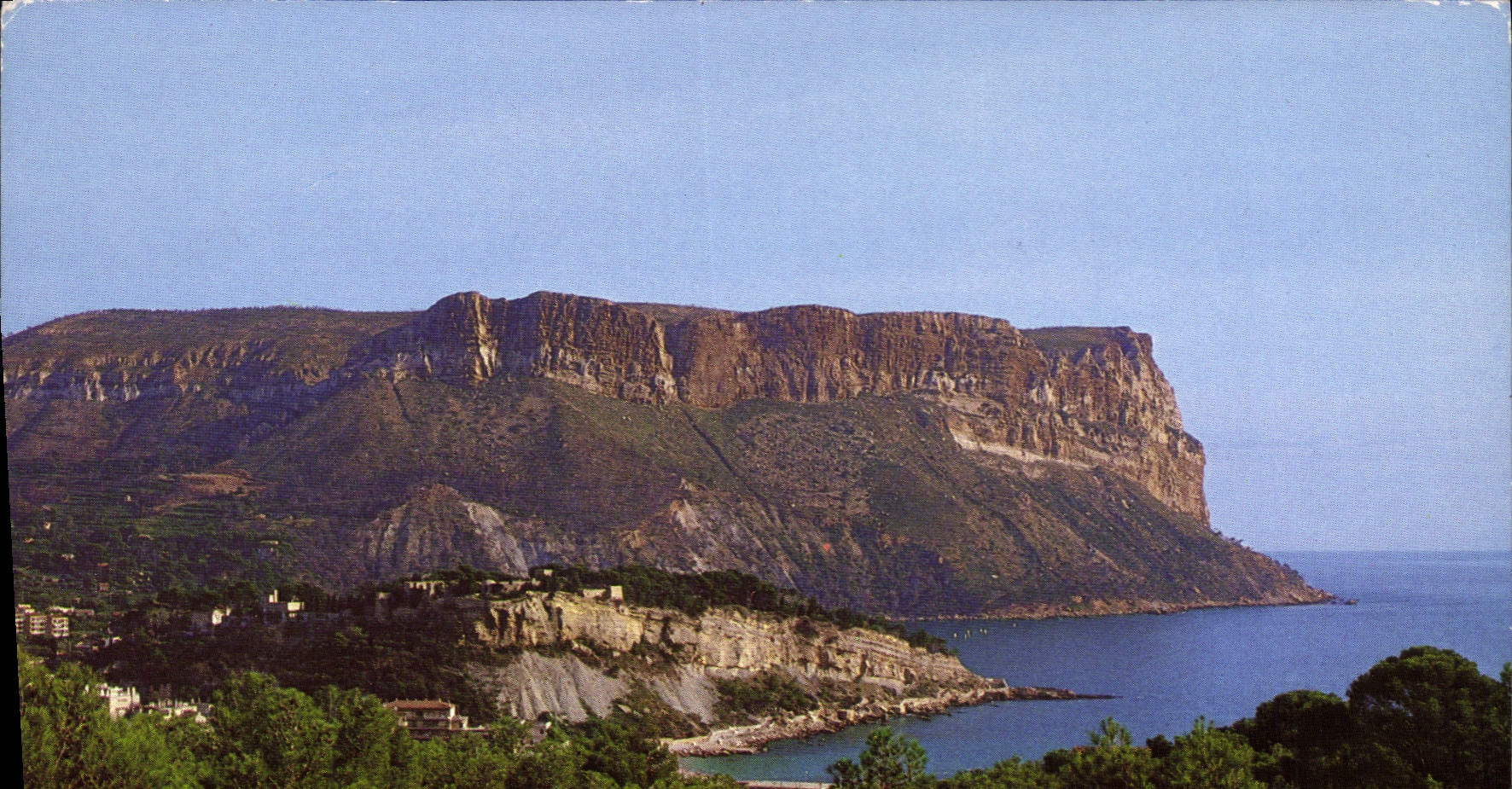 CPM Une Rose a la Boutonniere de la Provence Cassis sur Mer le Cap Canaille