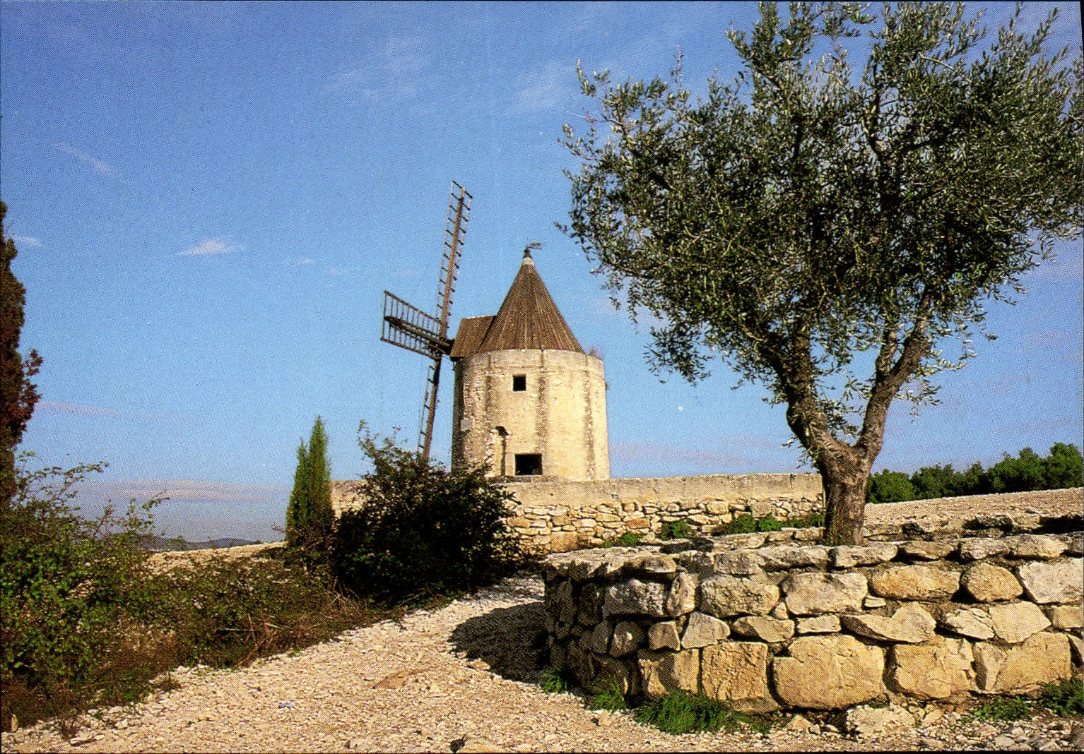 CPM La Provence le Moulin de Daudet 