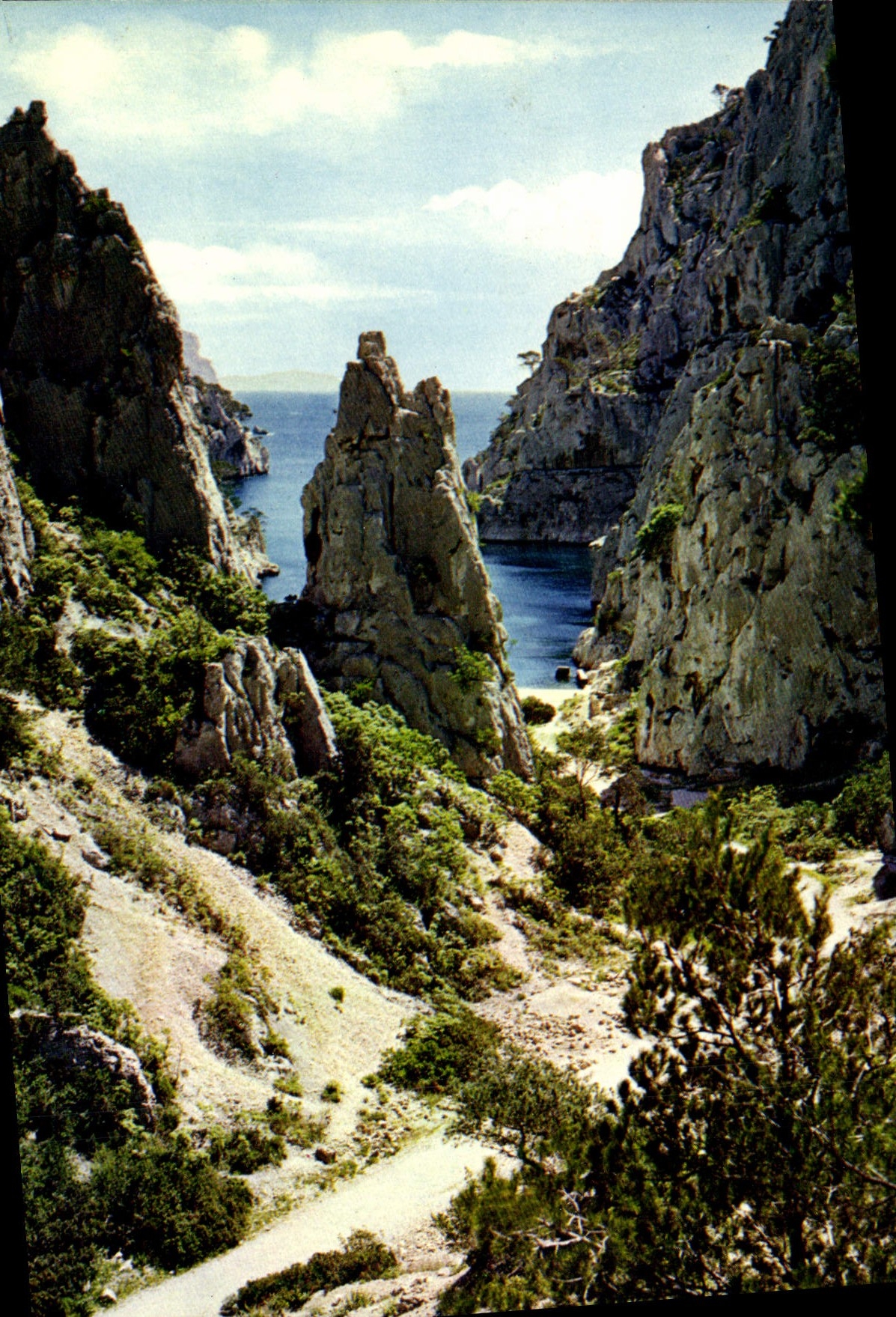CPM Une rose a la Boutonniere de la Provence Cassis sur Mer Calanque d'En Vau