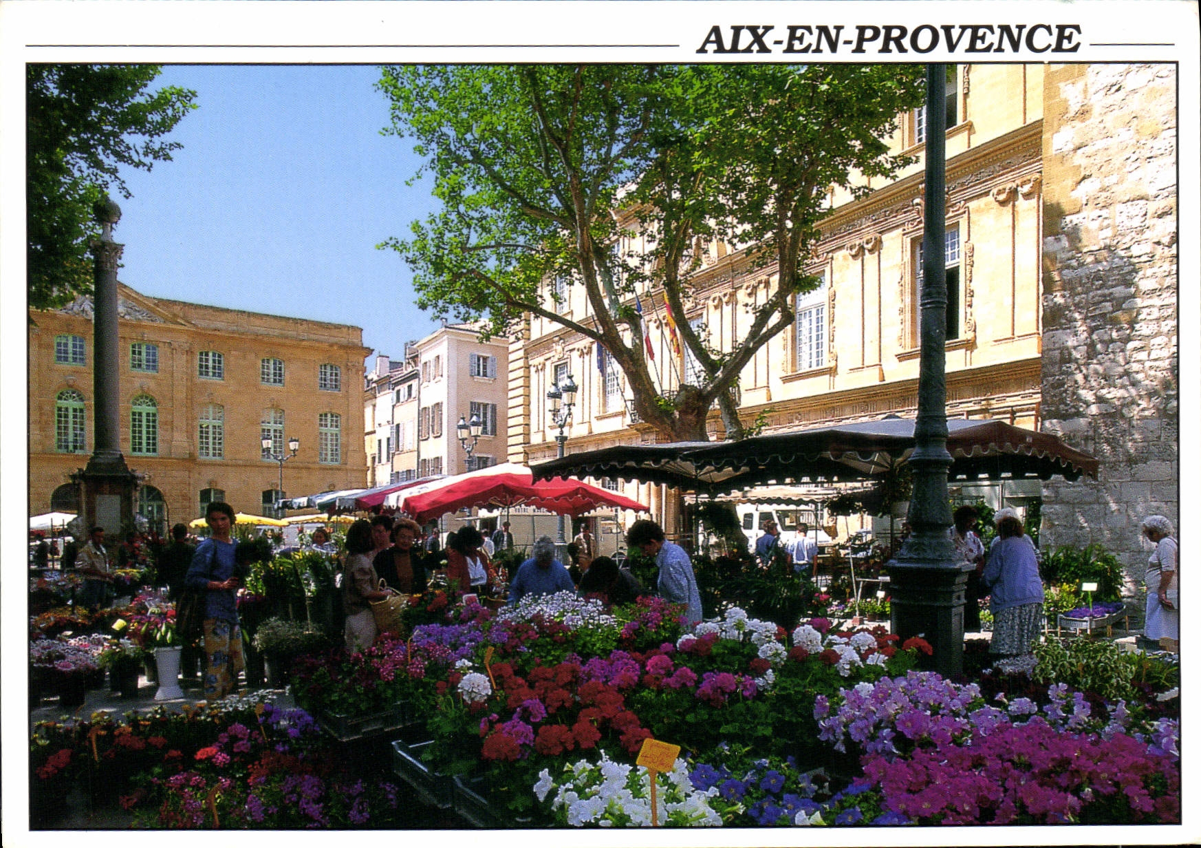 CPM Aix en Provence B du R Place de la Mairie le Marche aux fleurs 