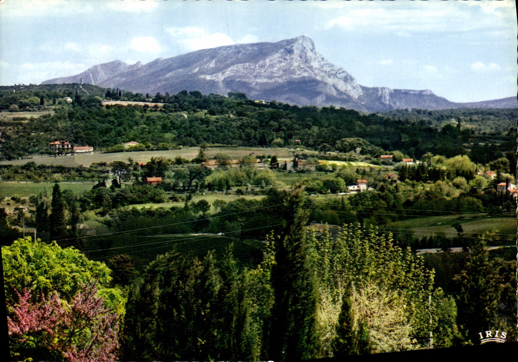 CPM Reflets de Provence la Jolie Campagne Aixoise avec comme toile de fond la Montagne Sainte Victoi