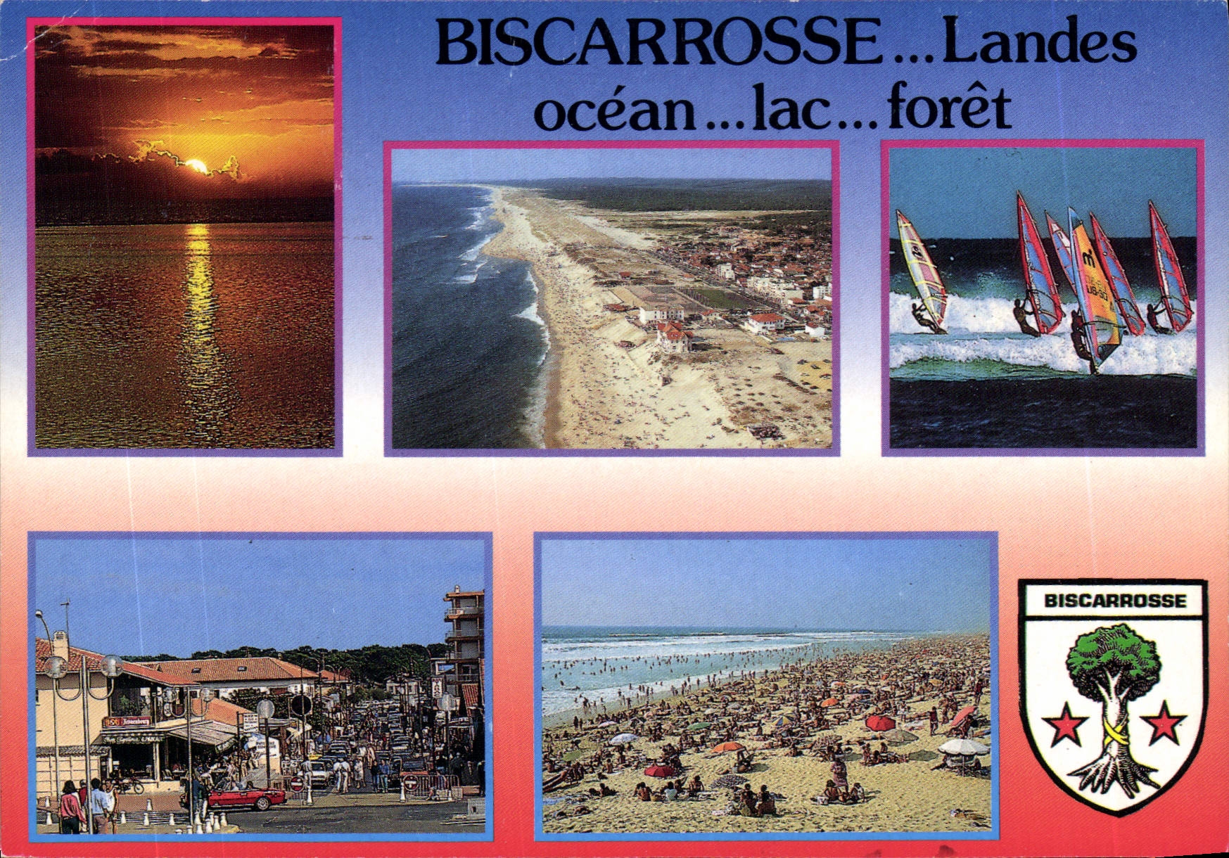 CPM Landes Biscarrosse Ocean Lac foret Planche a voile