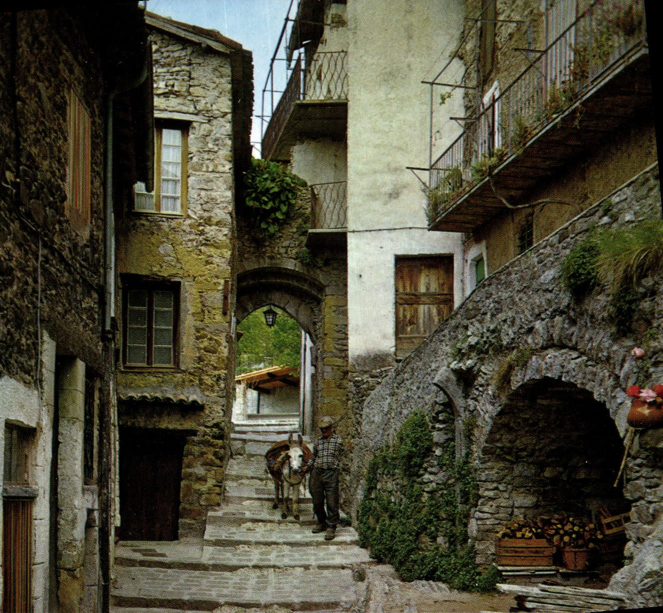 CPM Luceram A M Vieille rue Pittoresque