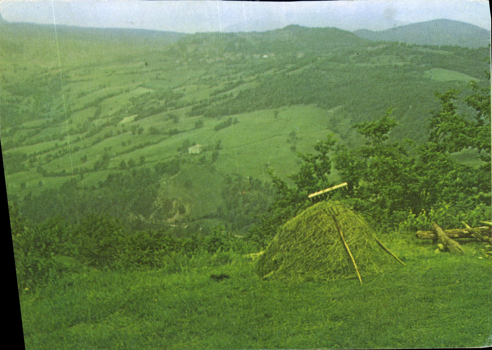 CPM Je Serai le glaneur quand la recolte est faite qui cherche les epis oublies le dernier quand le 