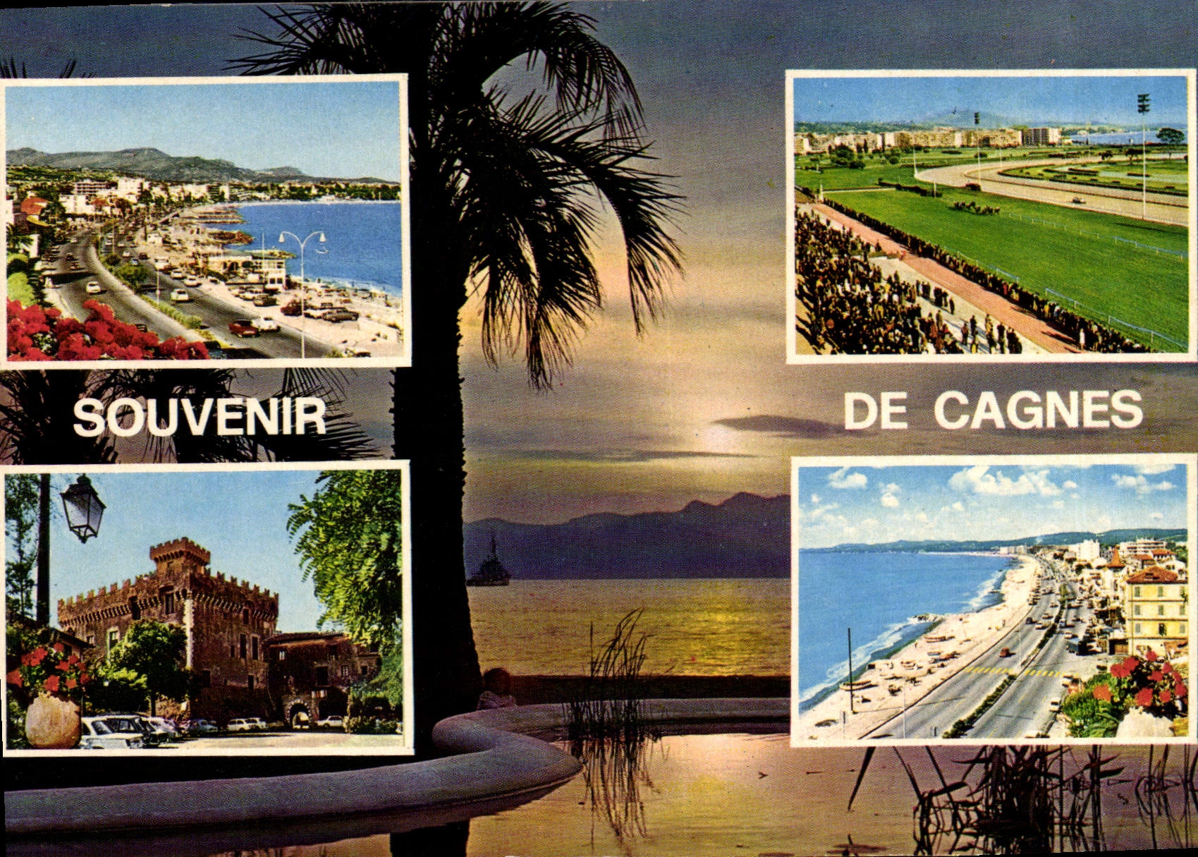 CPM Cote d'Azur French Riviera Cagnes Alpes Maritimes