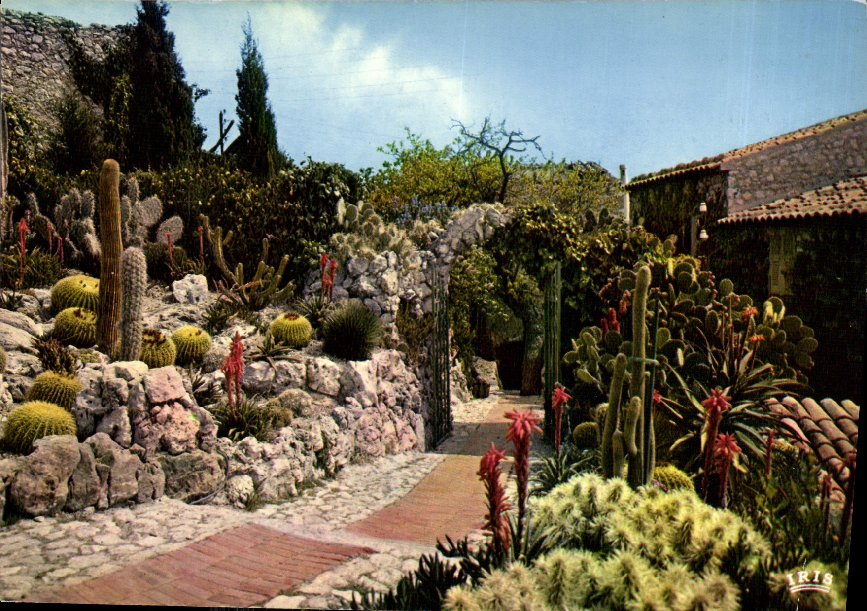 CPM La Cote d'Azur French Riviera Eze Village le Jardin Exotique