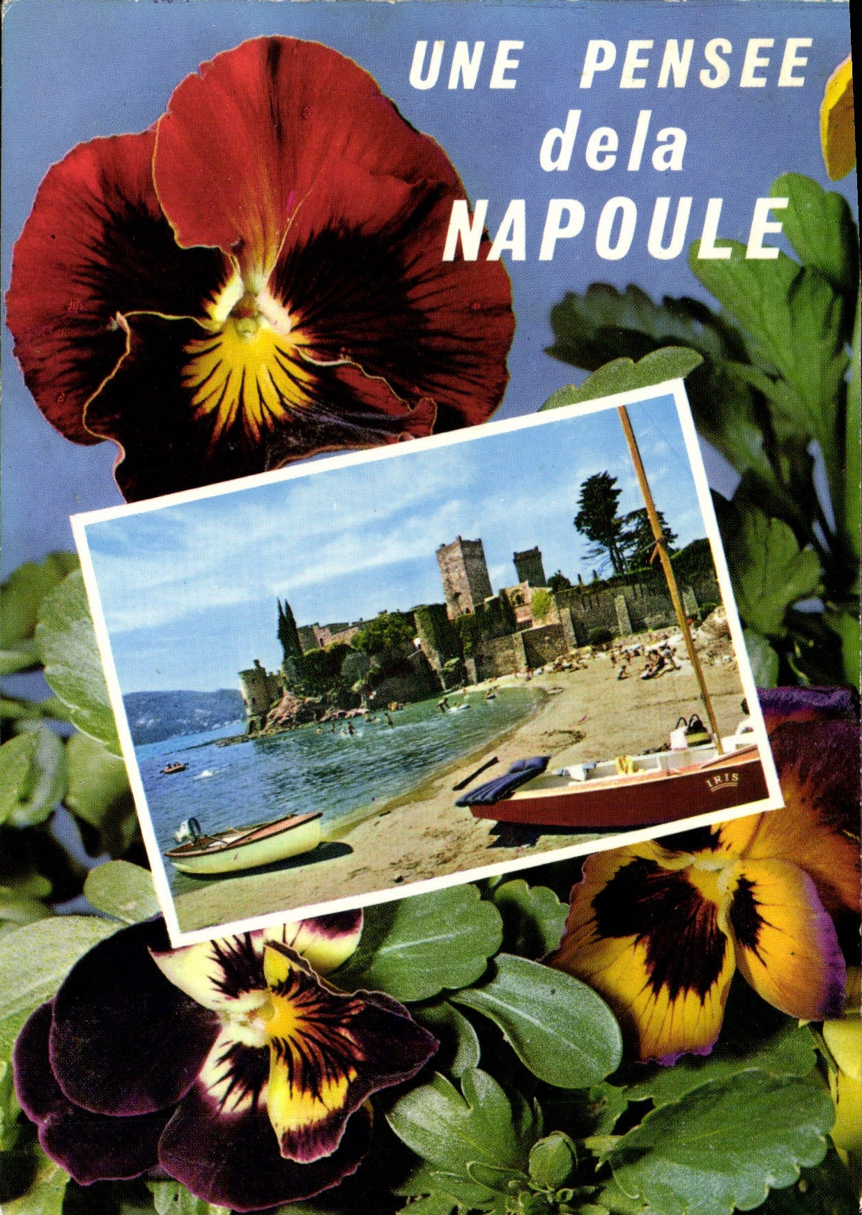 CPM La Cote d'Azur la Napoule Plage le Chateau