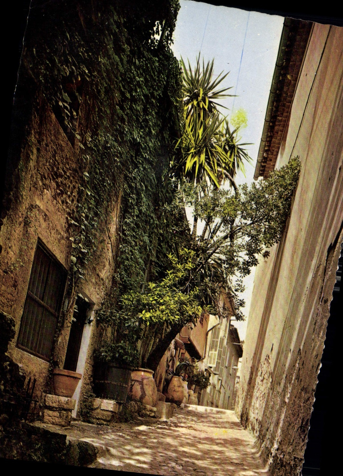 CPM Cagnes sur Mer Alpes Maritimes rue Saint Roch 