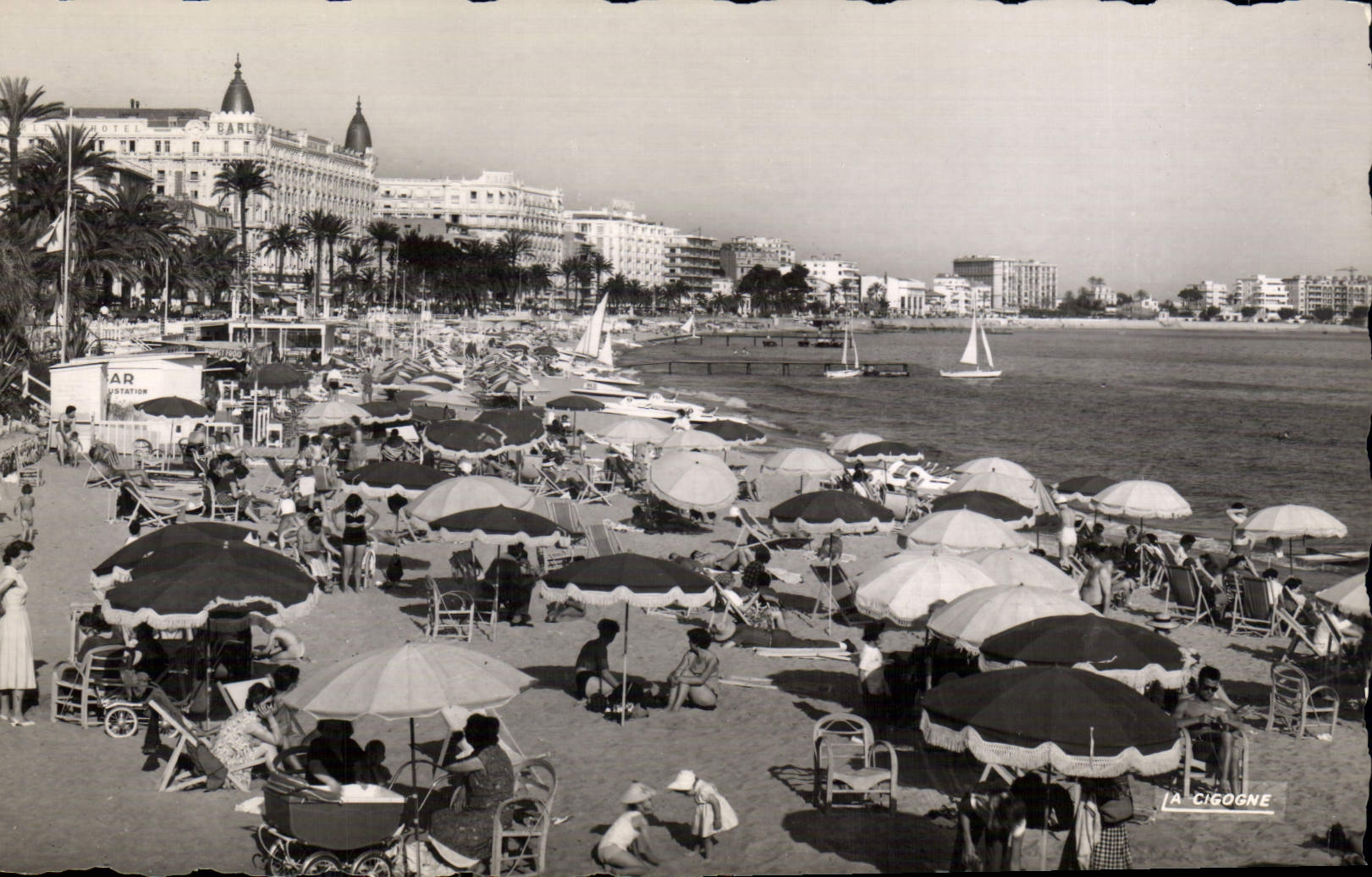 CPM Cannes A M la Plage 
