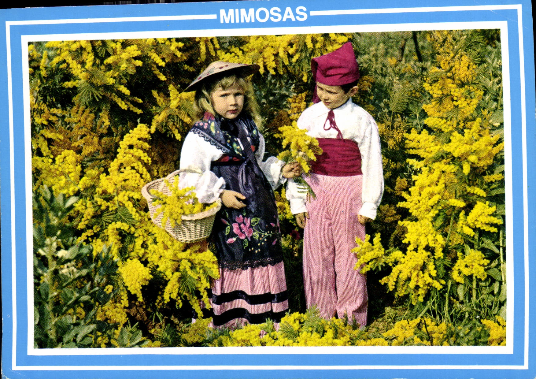 CPM La Cote d'Azur Mimosas Enfants Folklore