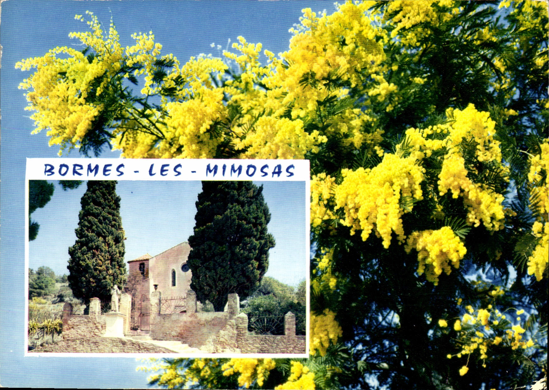CPM La Cote d'Azur Bormes les Mimosas 