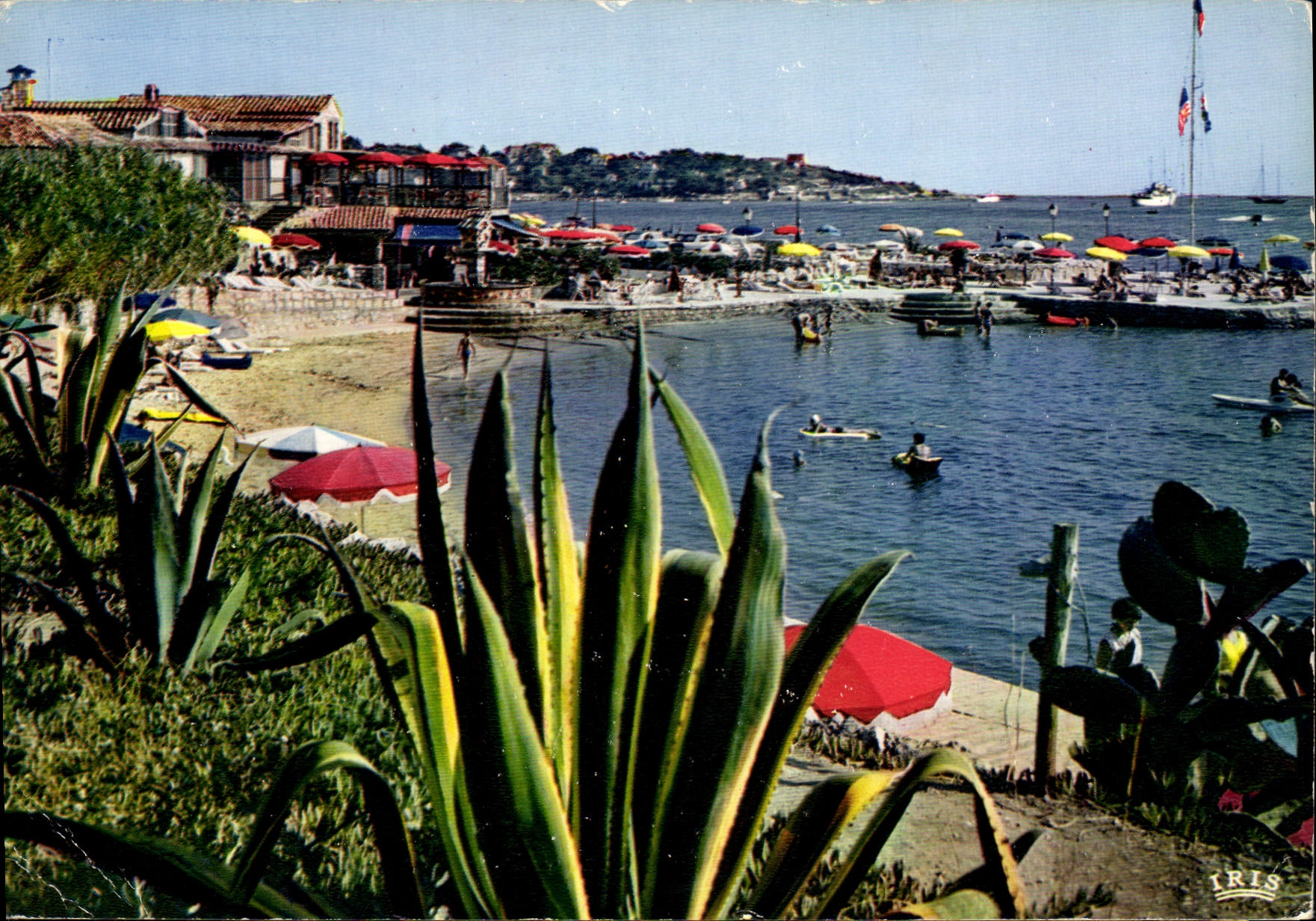 CPM La Cote d'Azur Antibes Juan les Pins la Maison des Pecheurs 