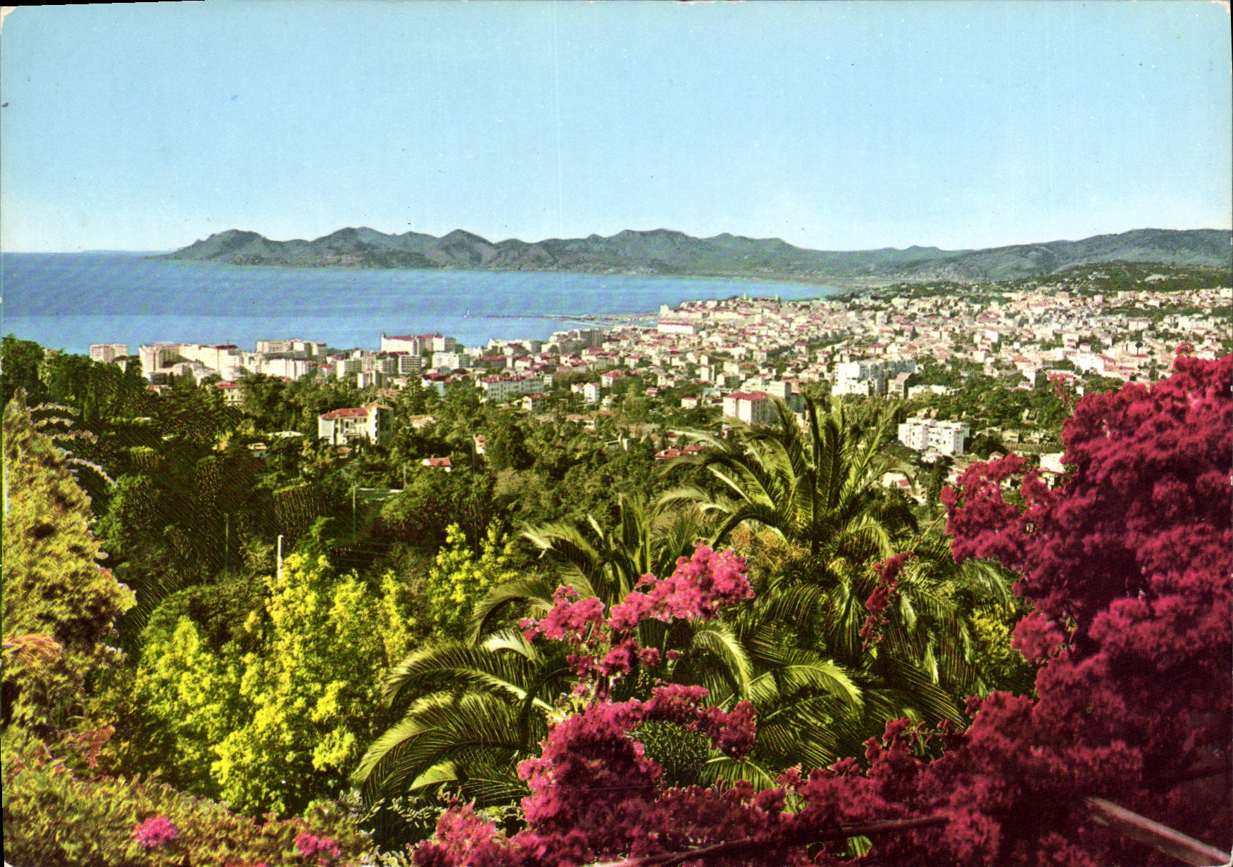 CPM La Cote d'Azur Cannes vue generale prise de Super cannes Parmi les fleurs 