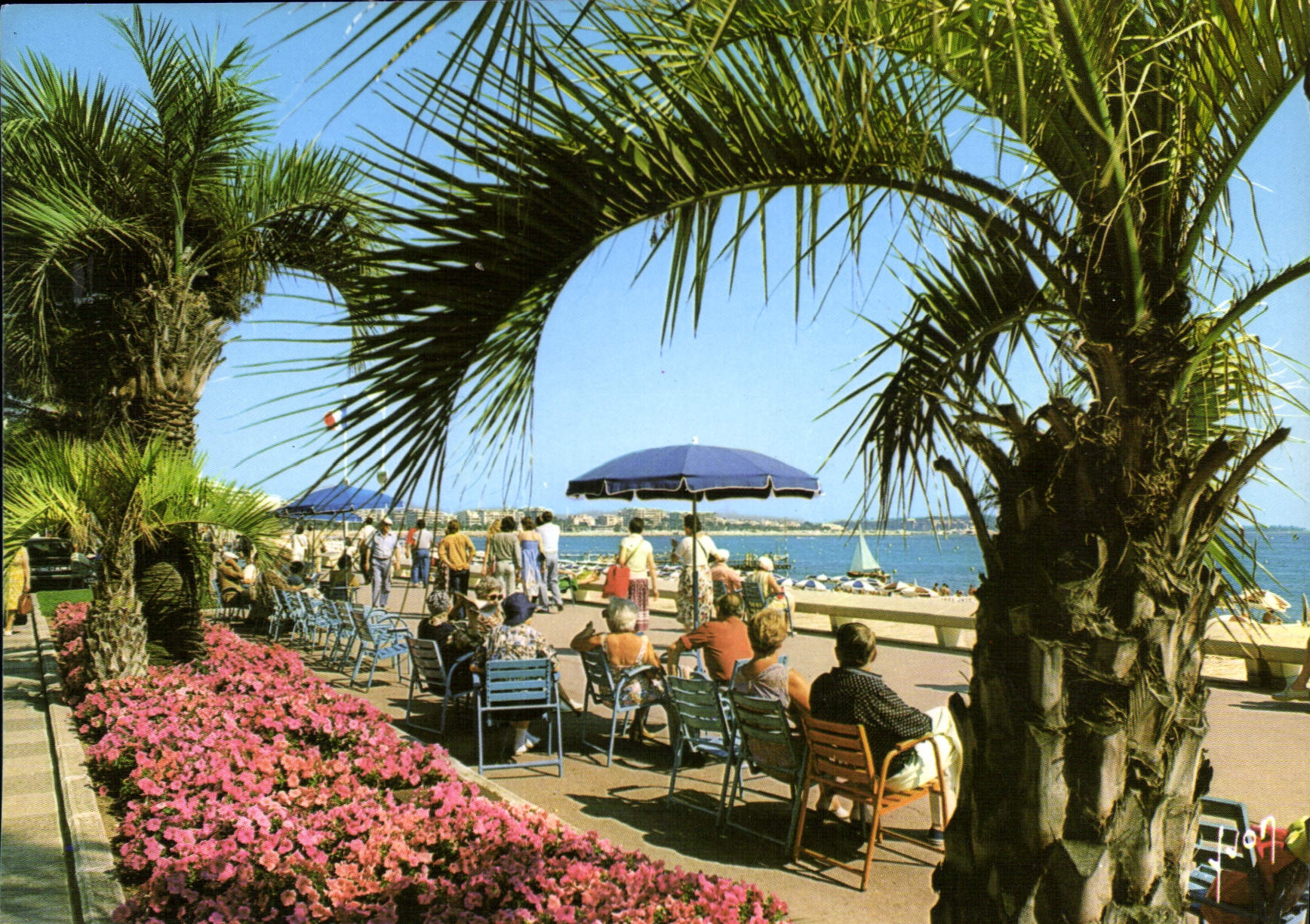 CPM La Cote d'Azur Cannes A M la Croisette 