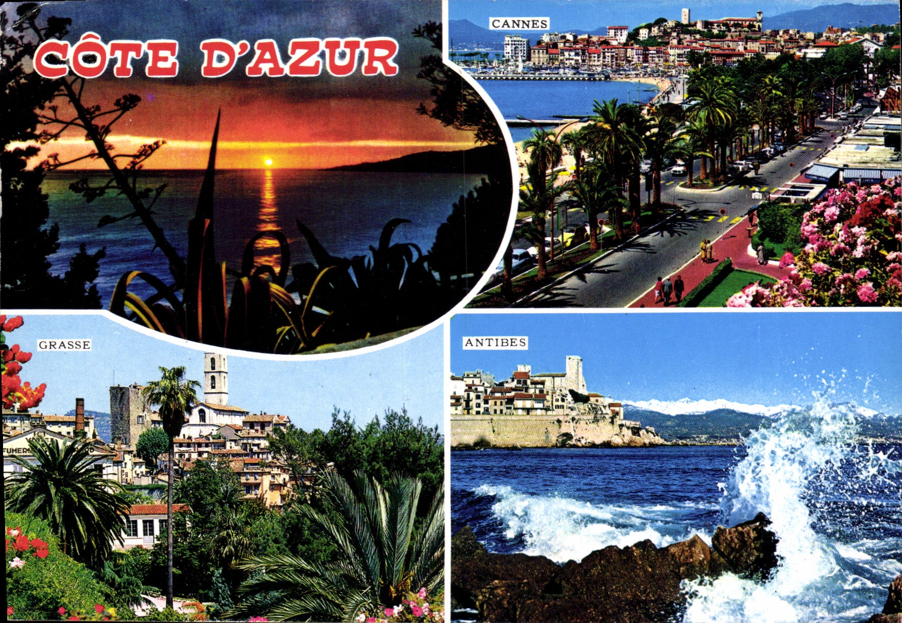 CPM Cote d'Azur Cannes Antibes Grasse 