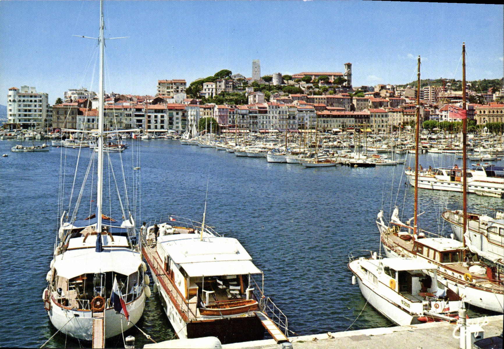 CPM La Cote d'Azur Cannes A M le Port et le Suquet 