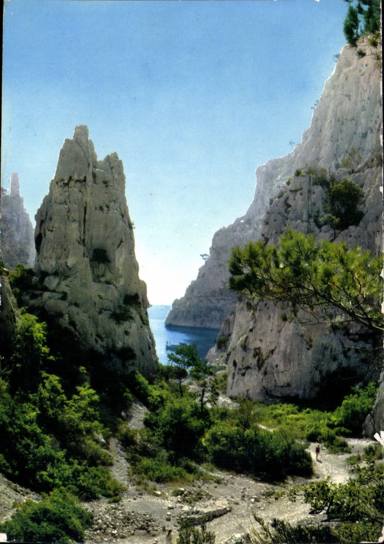 CPM Nos Belles Calanques Cassis B du R 