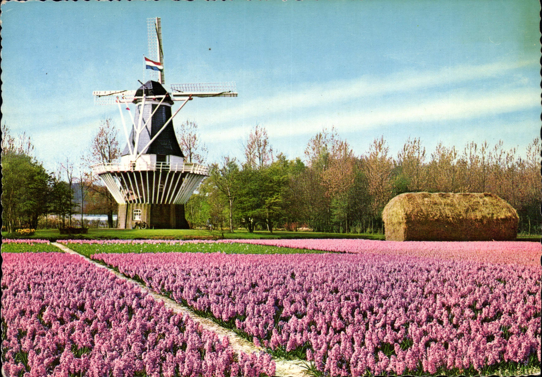 CPM Holland 