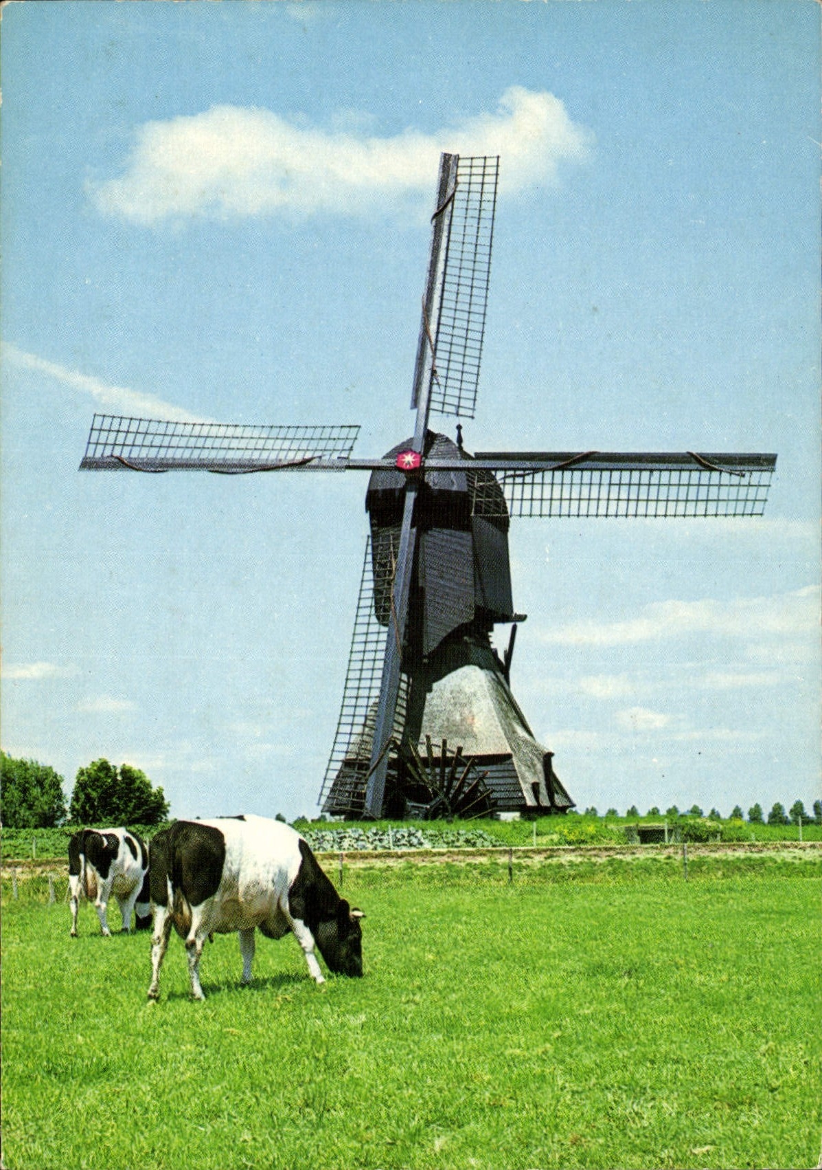 CPM Holland Moulin a Vent 