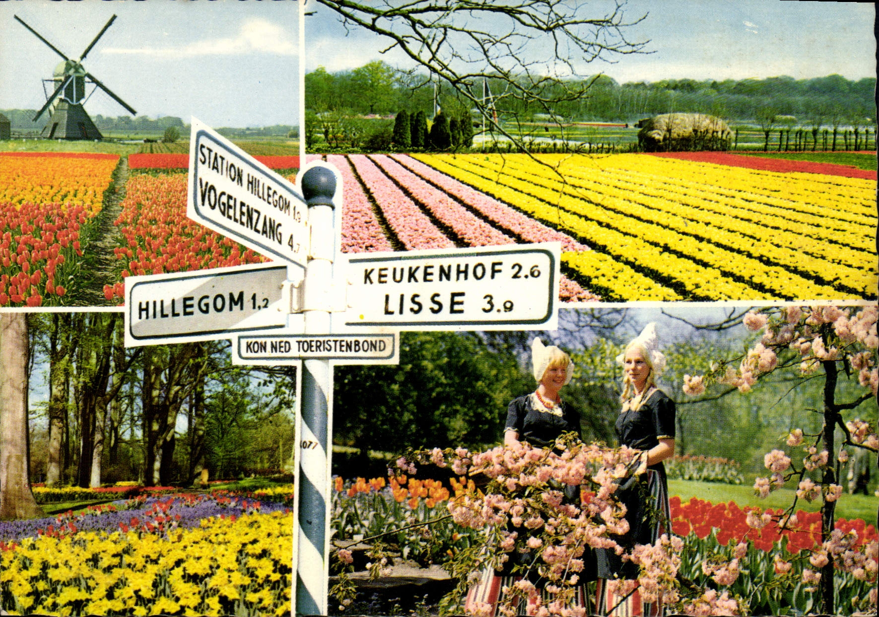 CPM Holland en Bloementooi 