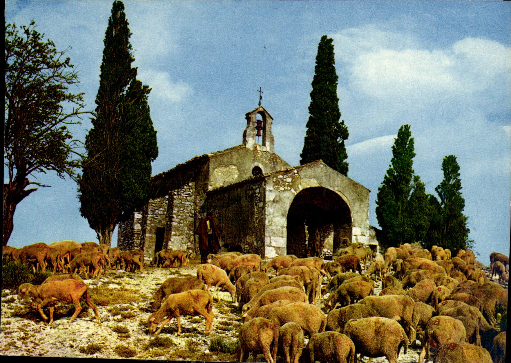 CPM Au Soleil du Midi Symphonie Pastorae