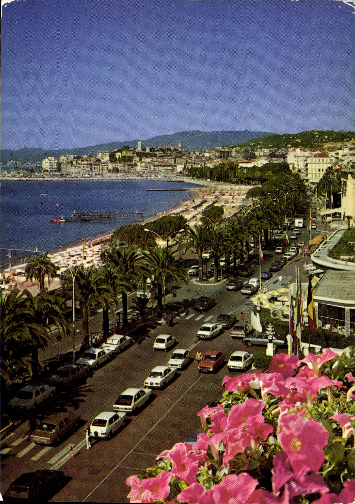 CPM Cannes La Promenade de la Croisette dans le fond le Suquet