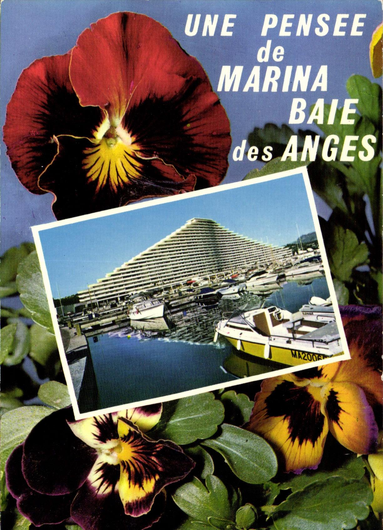 CPM La Cote d'Azur Villeneuve Loubet Marina Baie des Anges 