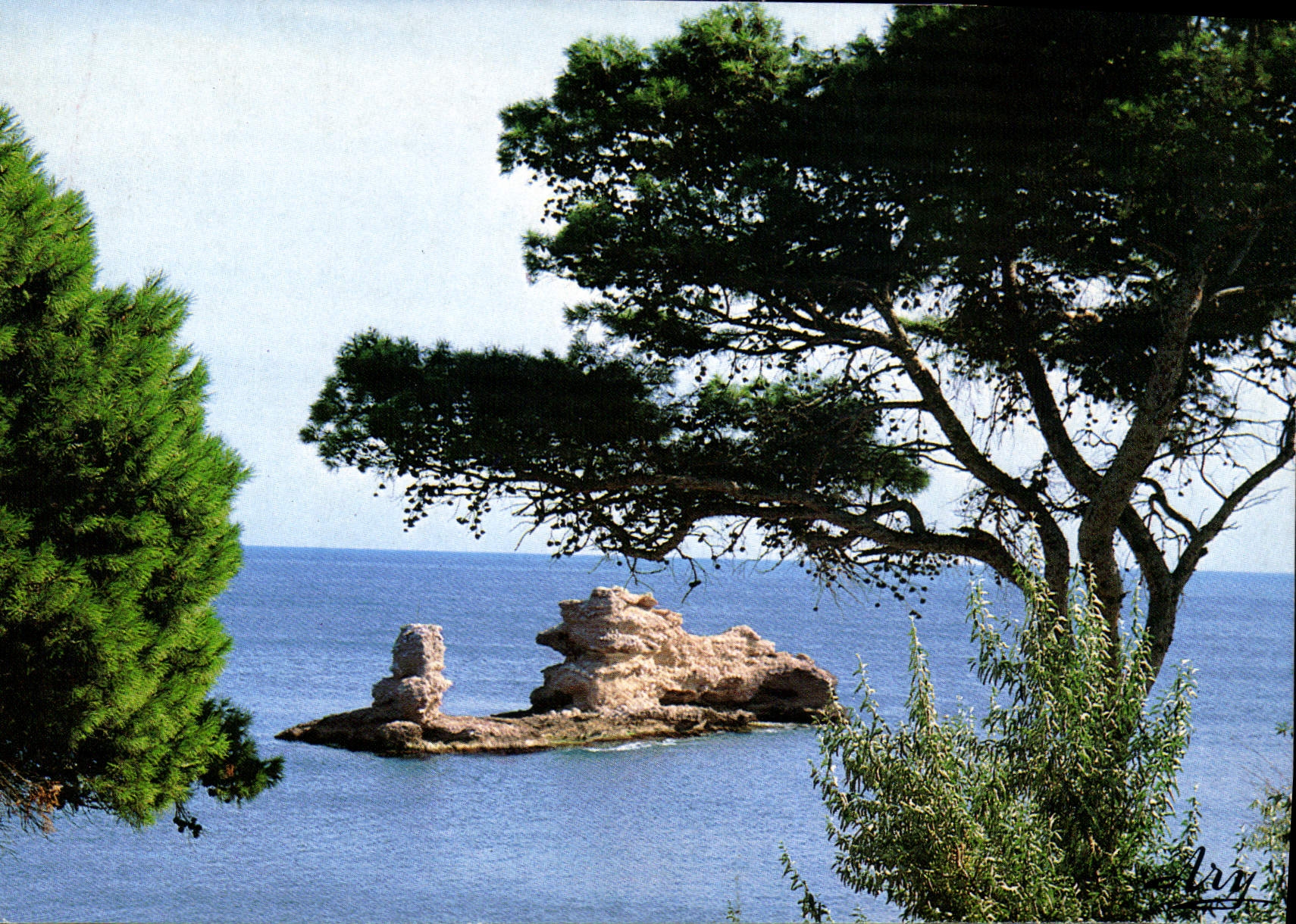 CPM La Cote Bleue Paysage Mediterraneen 