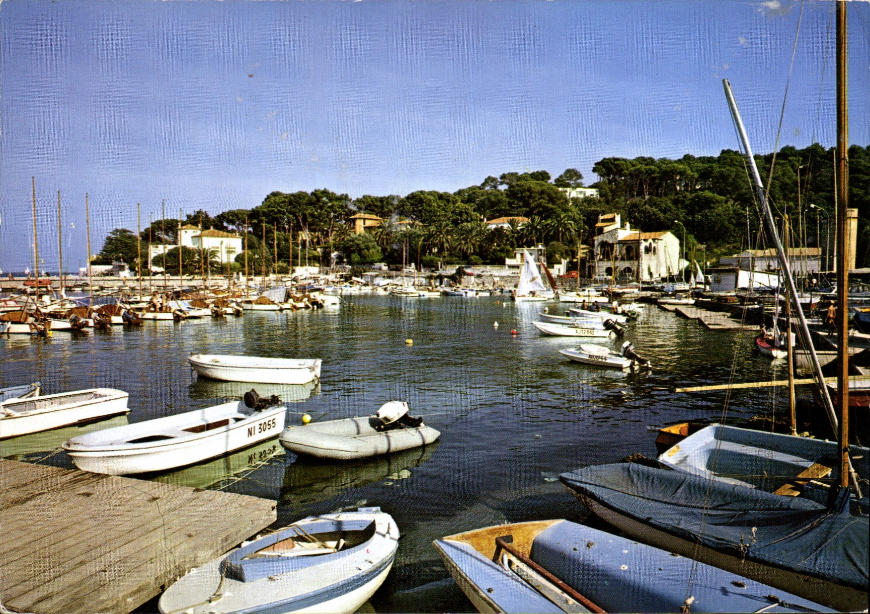 CPM Antibes Le Port de la Salis