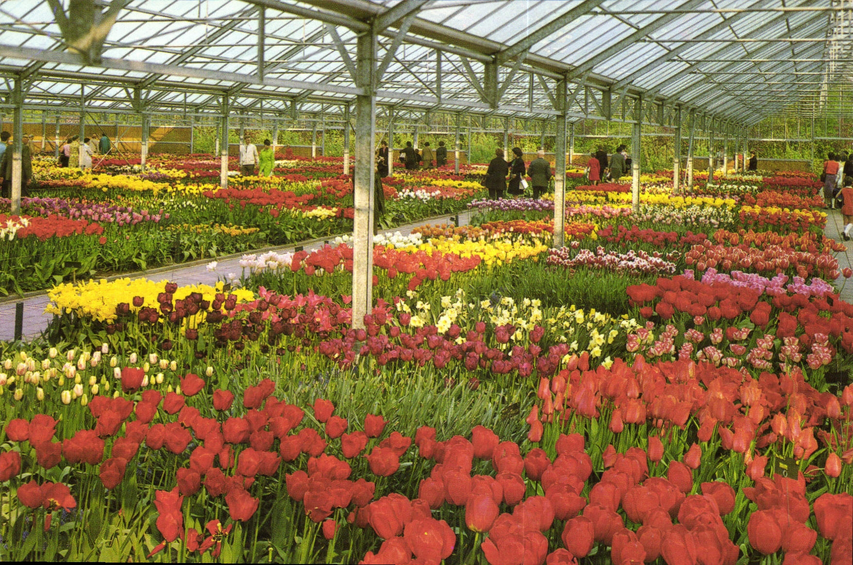 CPM Holland 
