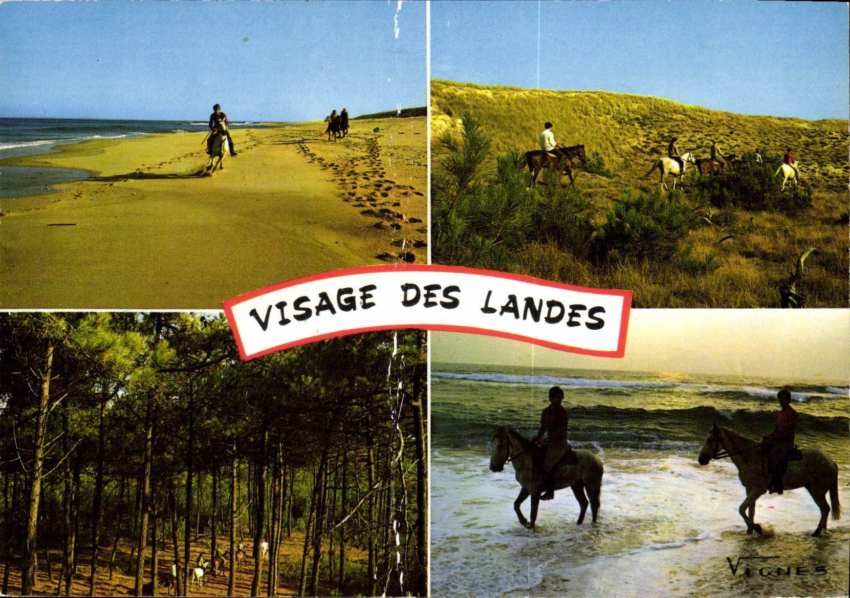 CPM Visage des Landes Promenades a cheval en foret dans les dunes et en borduce de l'Ocean avec le C