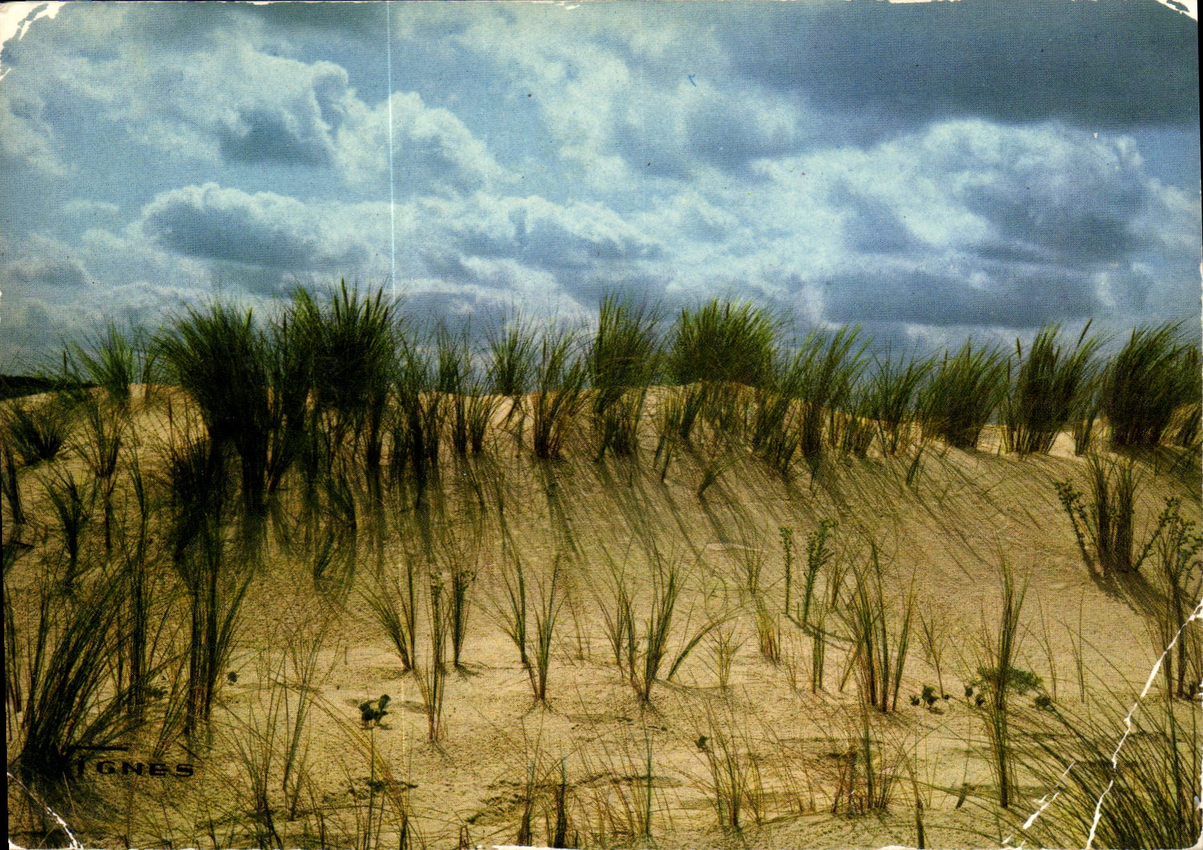 CPM Visage des Landes Effets de nuages sur la dune du littora