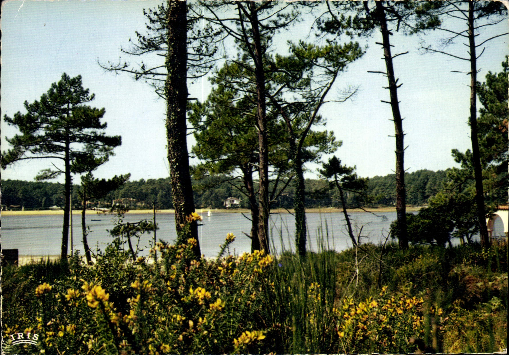 CPM Lac au pays landais 