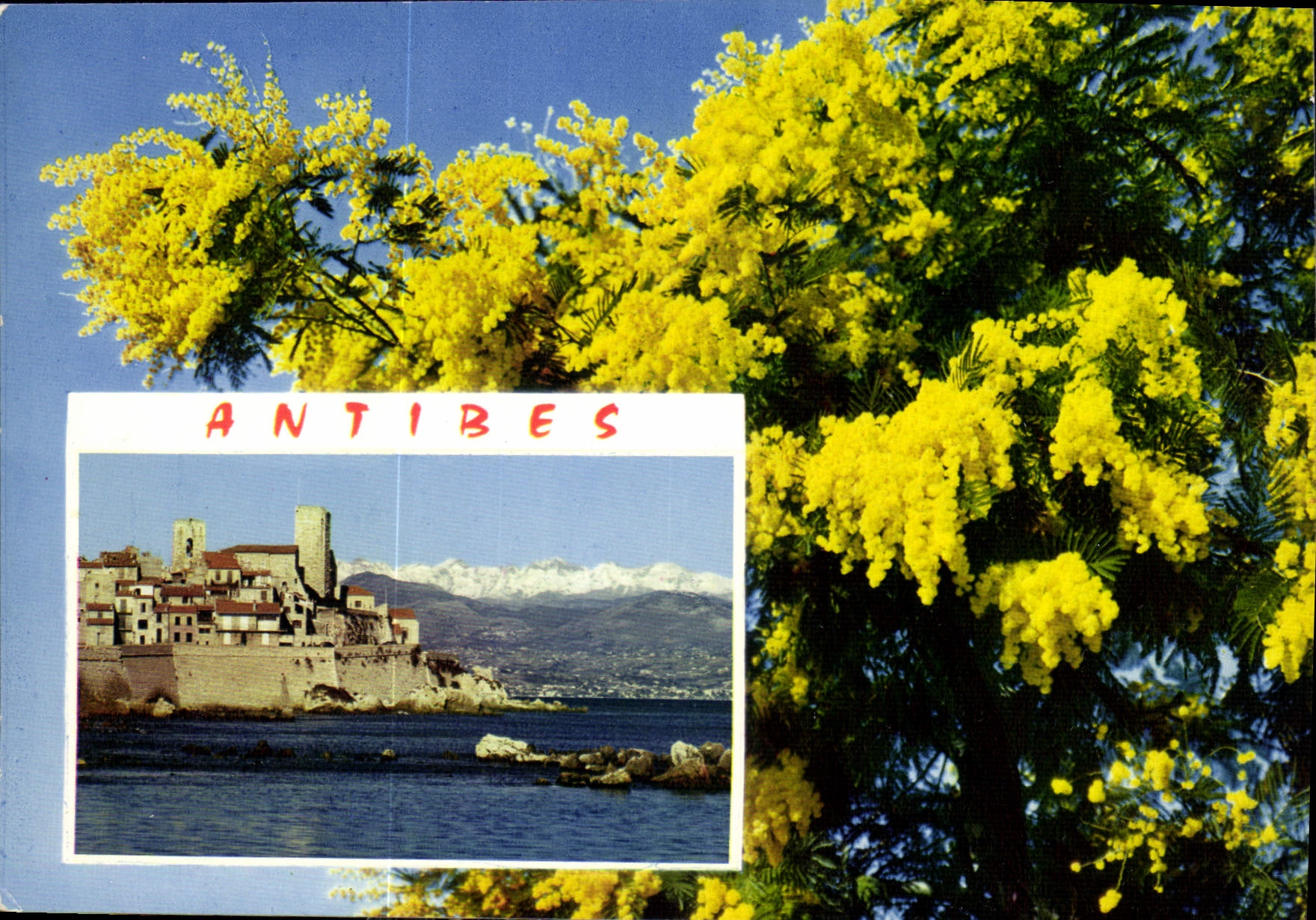 CPM La Cote d'Azur French Riviera Antibes