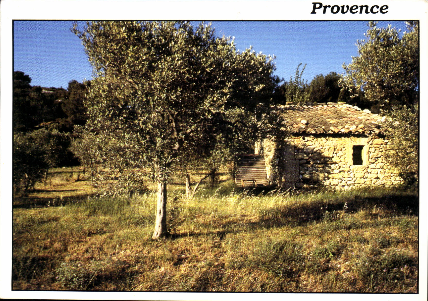 CPM Reflest de Provence 