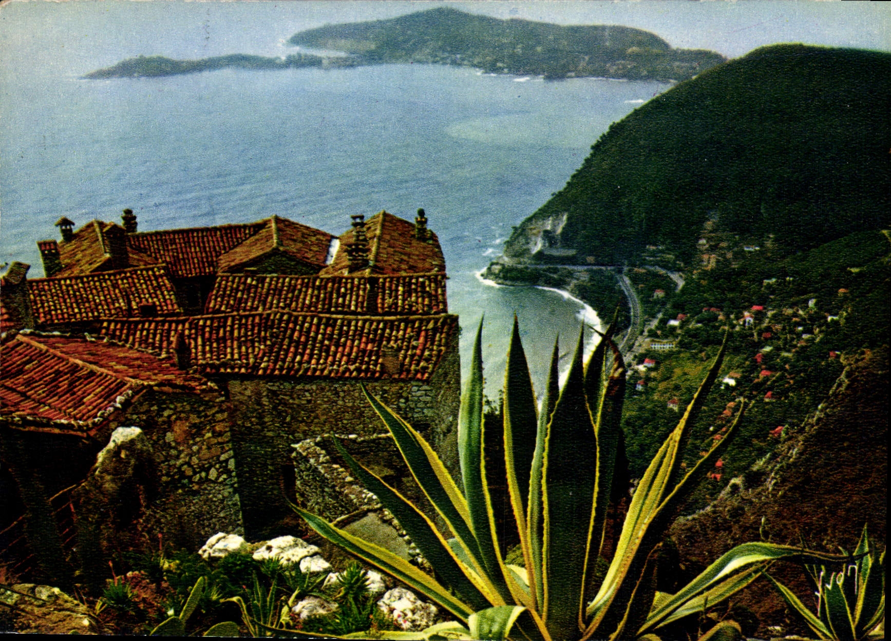 CPM Couleurs et lumiere de France la Cote d'Azur miracle de la nature Eze Alpes Maritimes Du jardin 