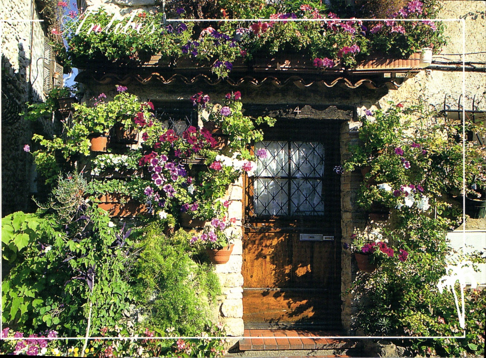 CPM La Cote d'Azur Inoubliable French Riviera Antibes A M Entree fleurie Vieil Antibes