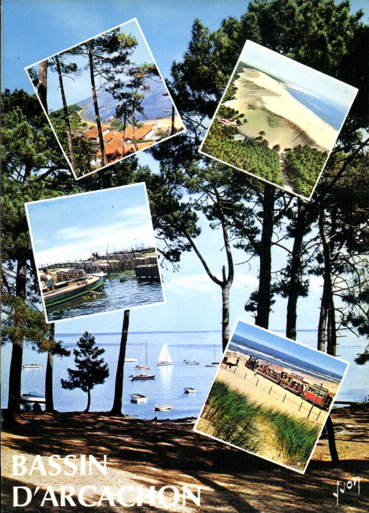 CPM Couleurs et Lumiere de France Bassin d'Arcachon Gironde Pointe aux Chevaux Dune du Pilat Parc a