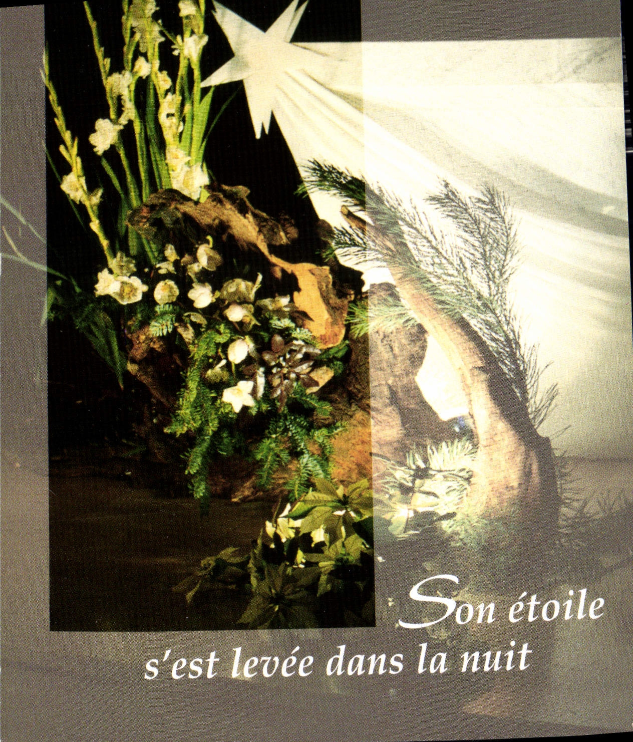 CPM Etoile de Noel 