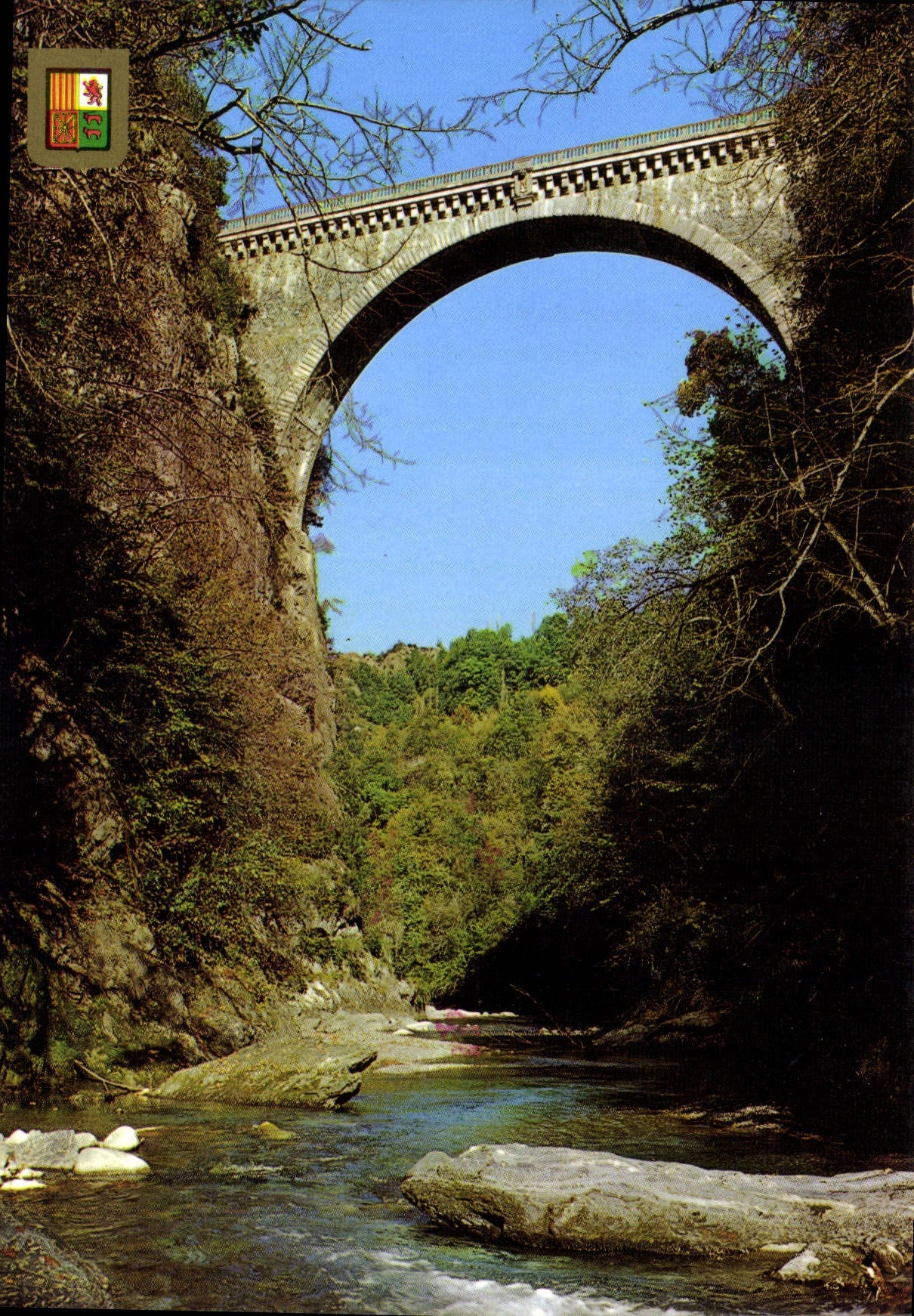 CPM Hautes Pyrenees Saint Sauveur le Pont Napoleon 